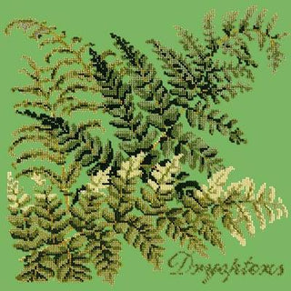 Dryopteris Needlepoint Kit Kits Elizabeth Bradley Design Grass Green 
