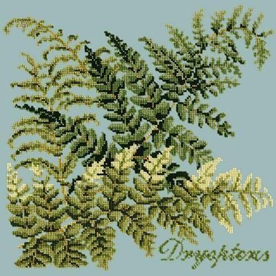 Dryopteris Needlepoint Kit Kits Elizabeth Bradley Design Pale Blue 
