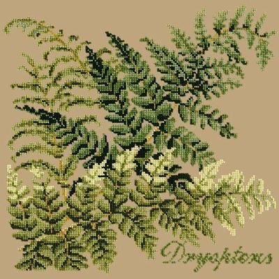 Dryopteris Needlepoint Kit Kits Elizabeth Bradley Design Sand 
