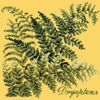 Dryopteris Needlepoint Kit Kits Elizabeth Bradley Design Sunflower Yellow 
