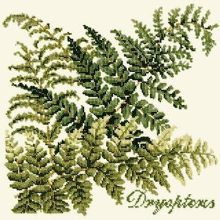 Dryopteris Needlepoint Kit Kits Elizabeth Bradley Design Winter White 
