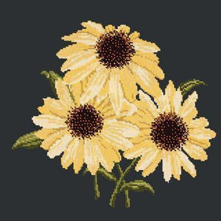 Echinaceas Needlepoint Kit Kits Elizabeth Bradley Design Black 
