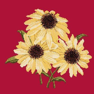 Echinaceas Needlepoint Kit Kits Elizabeth Bradley Design Bright Red 

