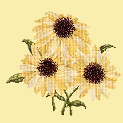 Echinaceas Needlepoint Kit Kits Elizabeth Bradley Design Butter Yellow 
