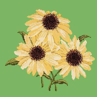 Echinaceas Needlepoint Kit Kits Elizabeth Bradley Design Grass Green 
