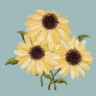 Echinaceas Needlepoint Kit Kits Elizabeth Bradley Design Pale Blue 
