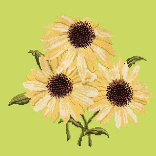 Echinaceas Needlepoint Kit Kits Elizabeth Bradley Design Pale Lime 
