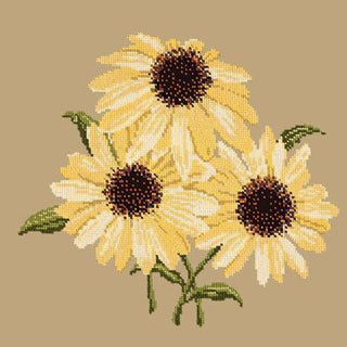 Echinaceas Needlepoint Kit Kits Elizabeth Bradley Design Sand 
