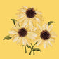 Echinaceas Needlepoint Kit Kits Elizabeth Bradley Design Sunflower Yellow 