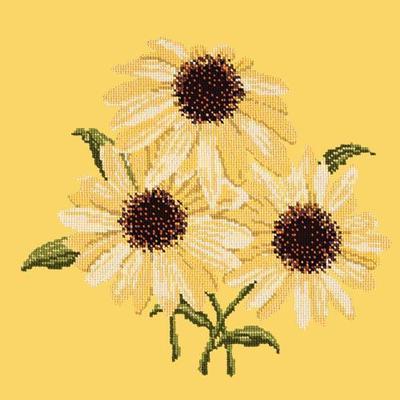Echinaceas Needlepoint Kit Kits Elizabeth Bradley Design Sunflower Yellow 
