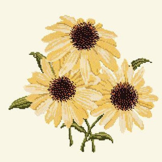 Echinaceas Needlepoint Kit Kits Elizabeth Bradley Design Winter White 
