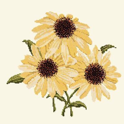 Echinaceas Needlepoint Kit Kits Elizabeth Bradley Design Winter White 
