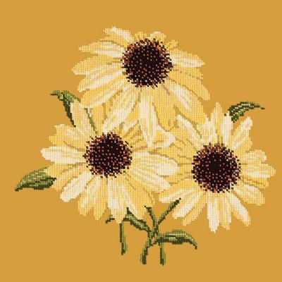 Echinaceas Needlepoint Kit Kits Elizabeth Bradley Design Yellow 
