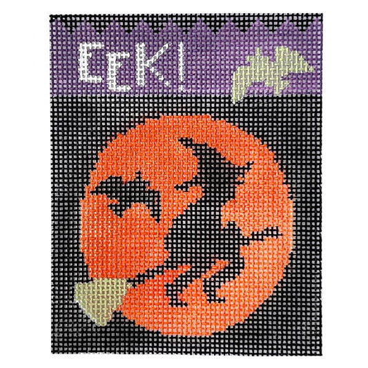 Eek! Witch Treat Bag with Witch Insert & Stitch Guide Painted Canvas Kathy Schenkel Designs 