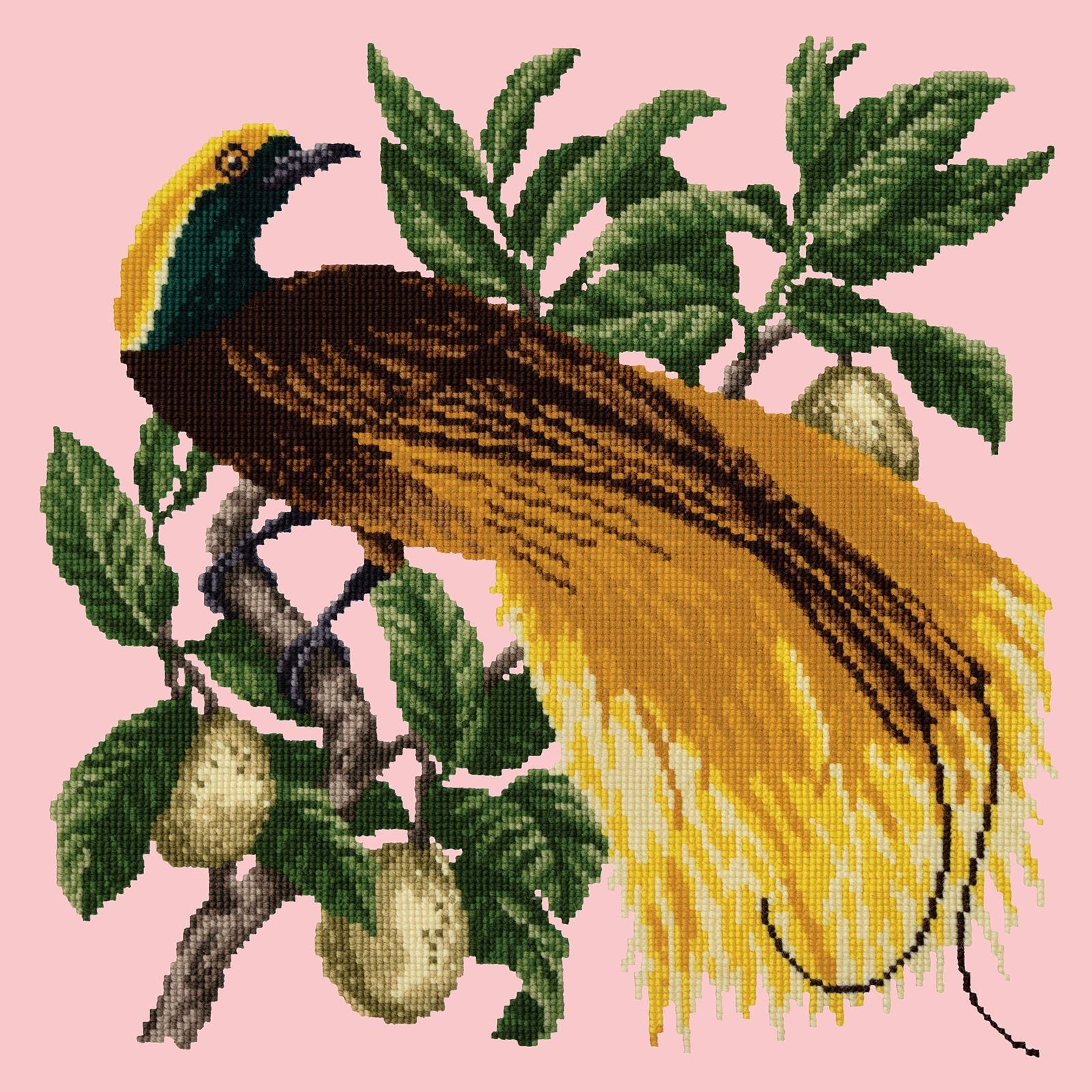 Emperor Needlepoint Kit Kits Elizabeth Bradley Design 
