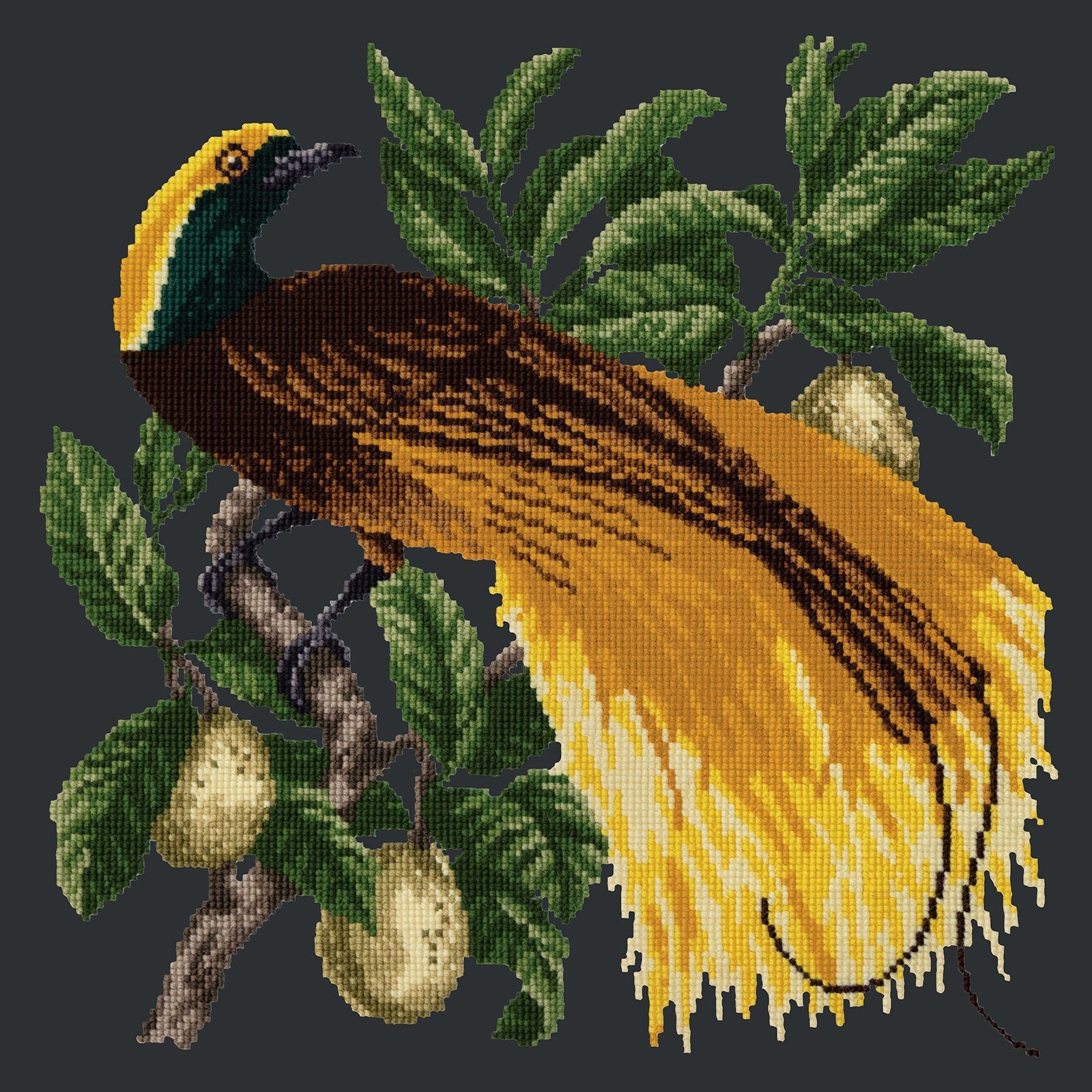 Emperor Needlepoint Kit Kits Elizabeth Bradley Design 
