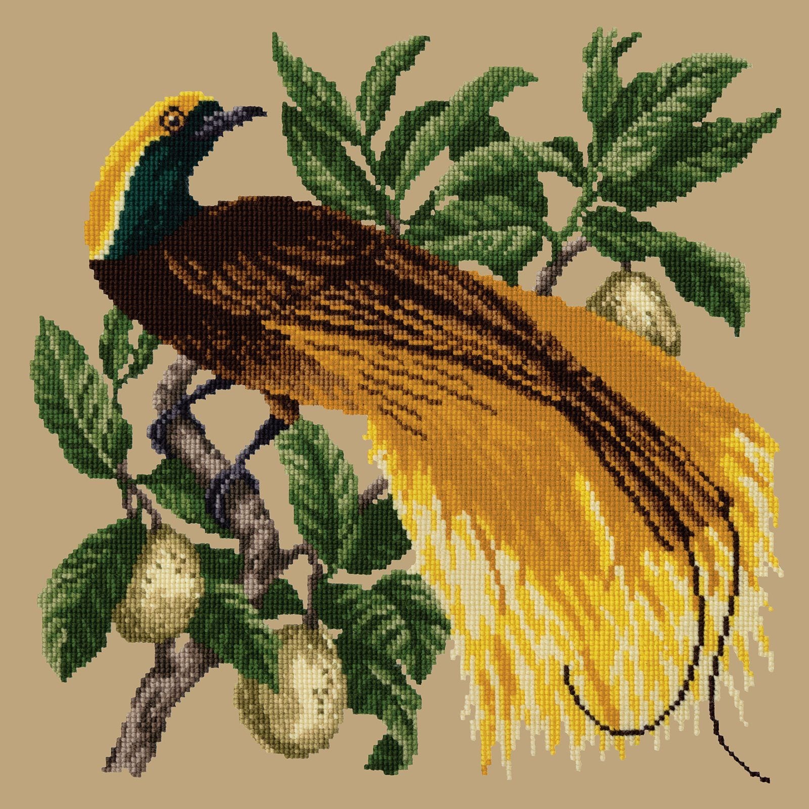 Emperor Needlepoint Kit Kits Elizabeth Bradley Design 
