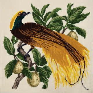 Emperor Needlepoint Kit Kits Elizabeth Bradley Design 
