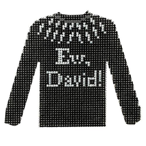 Ew, David! Sweater Painted Canvas Penny Linn Designs  - 1
