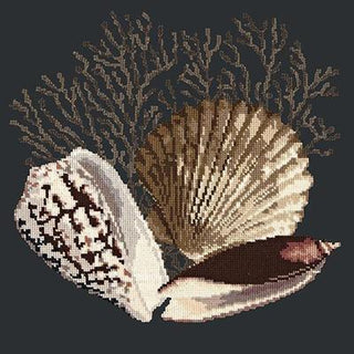 Fan Coral Needlepoint Kit Kits Elizabeth Bradley Design Black 
