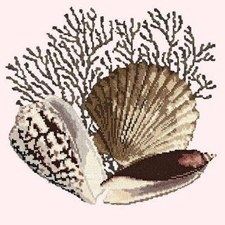 Fan Coral Needlepoint Kit Kits Elizabeth Bradley Design Cream 

