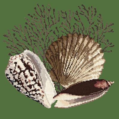 Fan Coral Needlepoint Kit Kits Elizabeth Bradley Design Dark Green 
