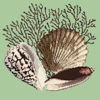 Fan Coral Needlepoint Kit Kits Elizabeth Bradley Design Pale Green 
