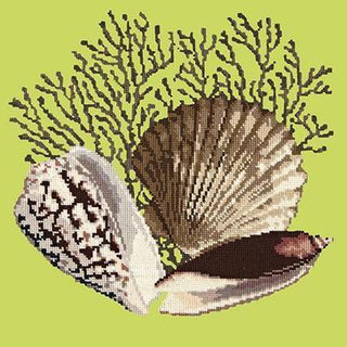 Fan Coral Needlepoint Kit Kits Elizabeth Bradley Design Pale Lime 
