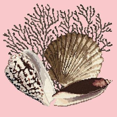 Fan Coral Needlepoint Kit Kits Elizabeth Bradley Design Pale Rose 
