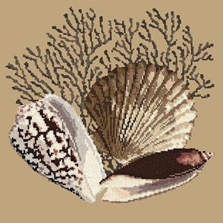 Fan Coral Needlepoint Kit Kits Elizabeth Bradley Design Sand 
