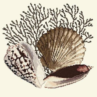 Fan Coral Needlepoint Kit Kits Elizabeth Bradley Design Winter White 
