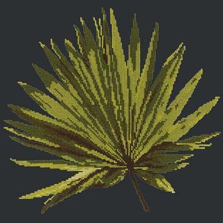 Fan Palm Leaf Needlepoint Kit Kits Elizabeth Bradley Design Black 
