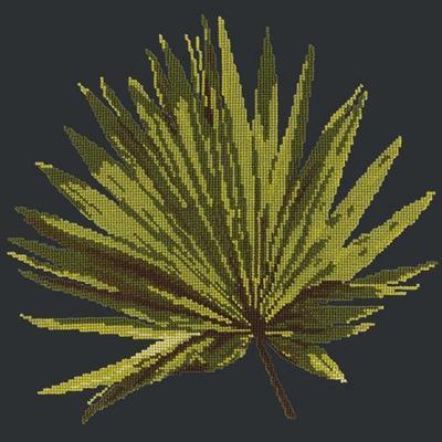 Fan Palm Leaf Needlepoint Kit Kits Elizabeth Bradley Design Black 
