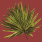 Fan Palm Leaf Needlepoint Kit Kits Elizabeth Bradley Design Dark Red 