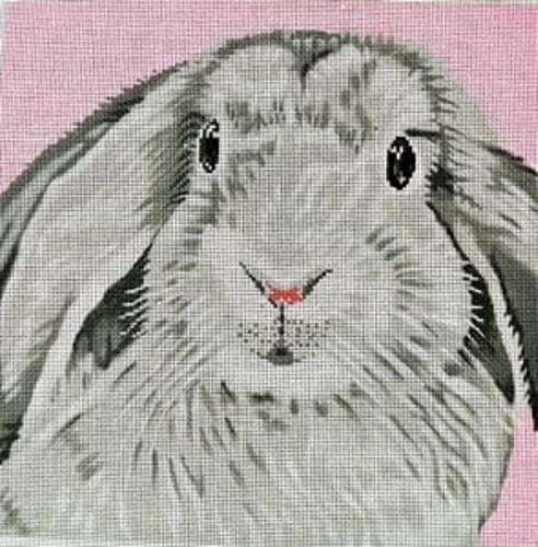 Floppy Ear Bunny on Pink Painted Canvas The Meredith Collection 