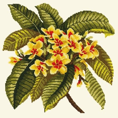 Frangipani Needlepoint Kit Kits Elizabeth Bradley Design 

