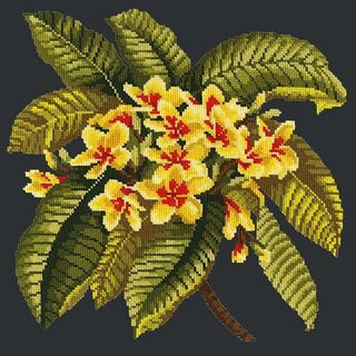 Frangipani Needlepoint Kit Kits Elizabeth Bradley Design Black 
