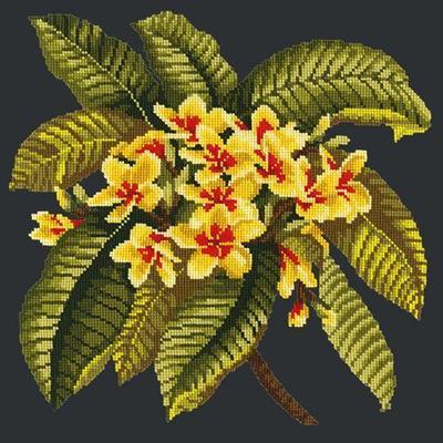 Frangipani Needlepoint Kit Kits Elizabeth Bradley Design Black 
