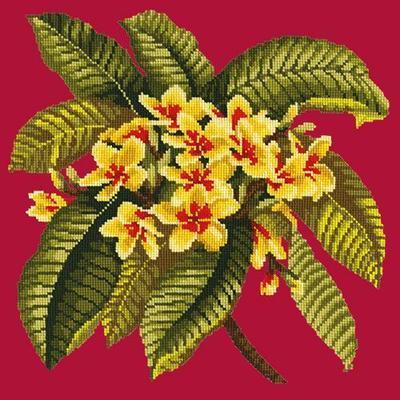 Frangipani Needlepoint Kit Kits Elizabeth Bradley Design Bright Red 