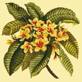 Frangipani Needlepoint Kit Kits Elizabeth Bradley Design Butter Yellow 
