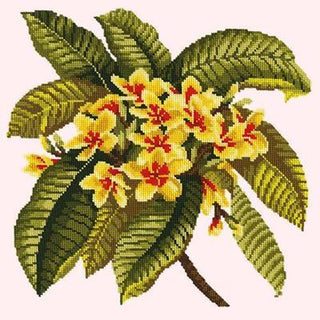 Frangipani Needlepoint Kit Kits Elizabeth Bradley Design Cream 
