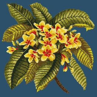 Frangipani Needlepoint Kit Kits Elizabeth Bradley Design Dark Blue 
