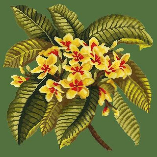 Frangipani Needlepoint Kit Kits Elizabeth Bradley Design Dark Green 
