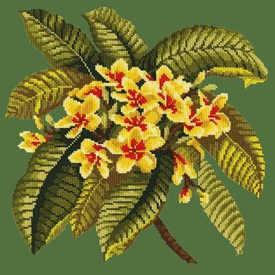 Frangipani Needlepoint Kit Kits Elizabeth Bradley Design Dark Green 
