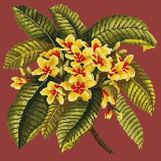 Frangipani Needlepoint Kit Kits Elizabeth Bradley Design Dark Red 

