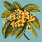 Frangipani Needlepoint Kit Kits Elizabeth Bradley Design Duck Egg Blue 