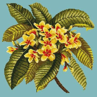 Frangipani Needlepoint Kit Kits Elizabeth Bradley Design Duck Egg Blue 
