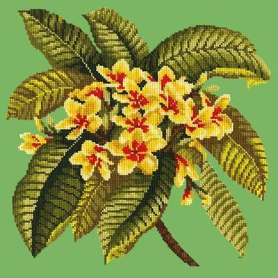 Frangipani Needlepoint Kit Kits Elizabeth Bradley Design Grass Green 