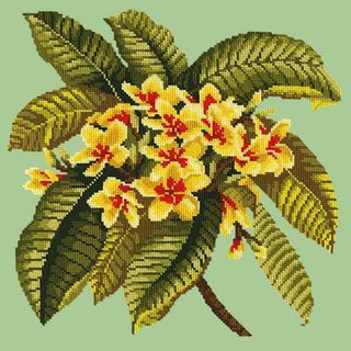 Frangipani Needlepoint Kit Kits Elizabeth Bradley Design Pale Green 
