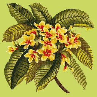 Frangipani Needlepoint Kit Kits Elizabeth Bradley Design Pale Lime 
